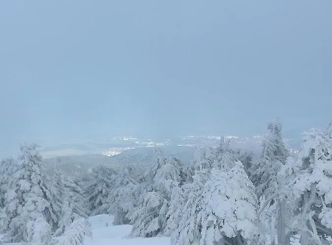 Apartmán Hase Thale